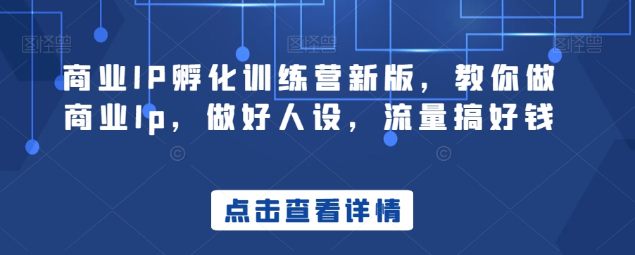 商业IP孵化训练营新版，教你做商业Ip，做好人设，流量搞好钱-源创资源网