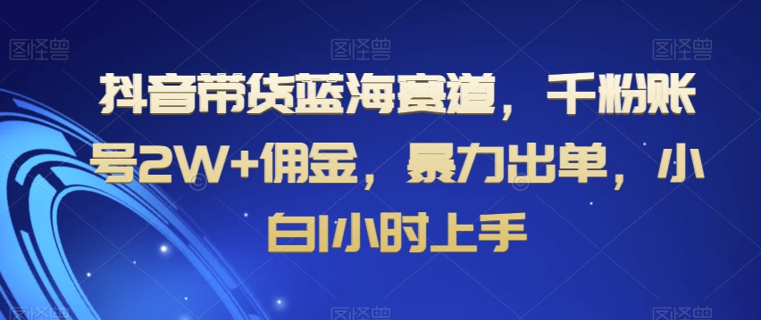 抖音带货蓝海赛道，千粉账号2W+佣金，暴力出单，小白1小时上手【揭秘】-源创资源网