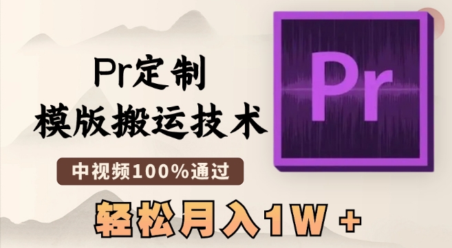 最新Pr定制模版搬运技术，中视频100%通过，几分钟一条视频，轻松月入1W＋【揭秘】-源创资源网