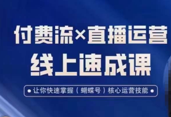 视频号付费流实操课程，付费流✖️直播运营速成课，让你快速掌握视频号核心运营技能-源创资源网
