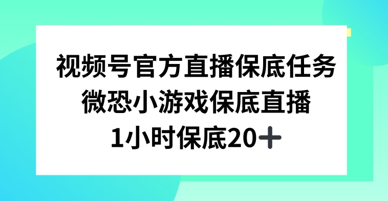视频号直播任务，微恐小游戏，1小时20+【揭秘】-源创资源网