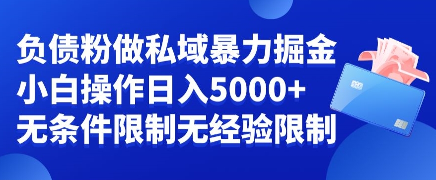 负债粉私域暴力掘金，小白操作入5000，无经验限制，无条件限制【揭秘】-源创资源网