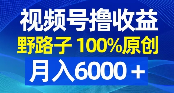 视频号野路子撸收益，100%原创，条条爆款，月入6000＋【揭秘】-源创资源网