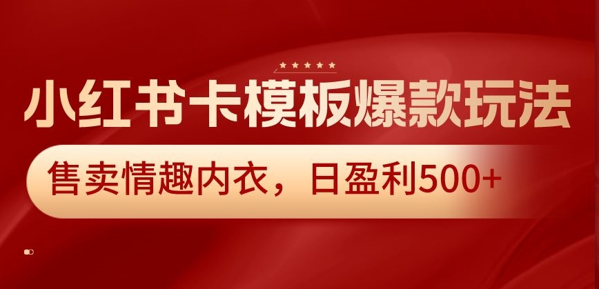 小红书卡模板爆款玩法，售卖情趣内衣，日盈利500+【揭秘】-源创资源网