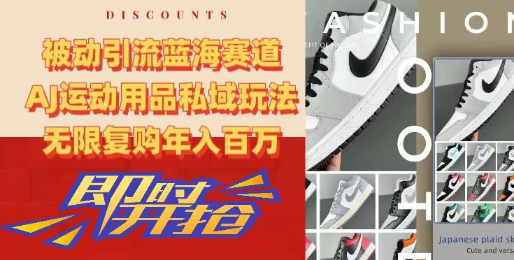 被动引流蓝海赛道，AJ运动用品私域玩法，无限复购年入百万【揭秘】-源创资源网