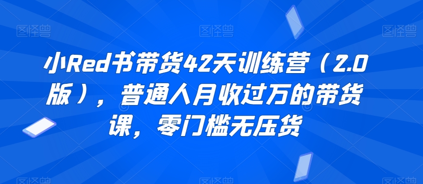 小Red书带货42天训练营（2.0版），普通人月收过万的带货课，零门槛无压货-源创资源网