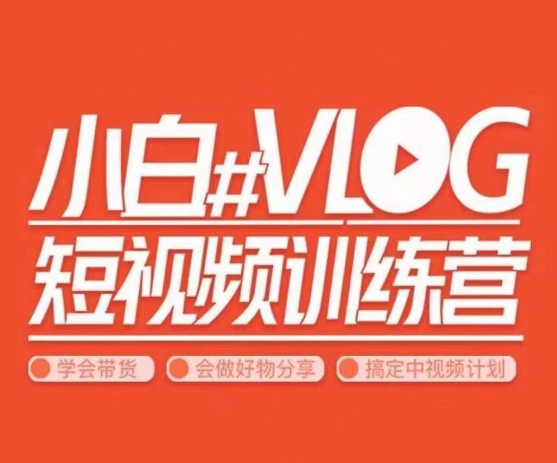 小呆说视–小白VLOG短视频训练营，学会带货、好物、直播、中视频-源创资源网