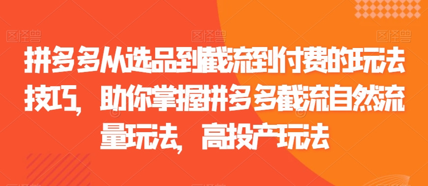 拼多多从选品到截流到付费的玩法技巧，助你掌握拼多多截流自然流量玩法，高投产玩法-源创资源网