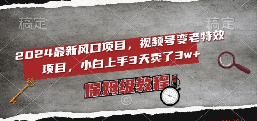 2024最新风口项目，视频号变老特效项目，电脑小白上手3天卖了3w+，保姆级教程【揭秘】-源创资源网