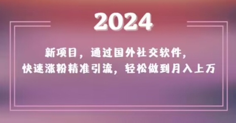 2024新项目，通过国外社交软件，快速涨粉精准引流，轻松做到月入上万【揭秘】-源创资源网