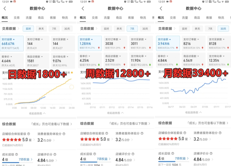 拼多多虚拟电商训练营月入30000+你也行，暴利稳定长久，副业首选-源创资源网