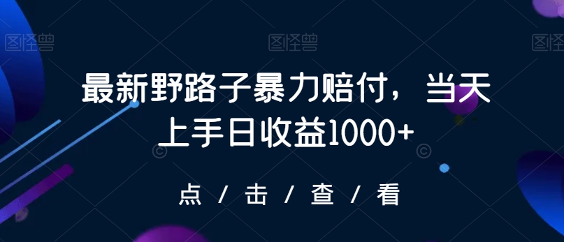 最新野路子暴力赔付，当天上手日收益1000+【仅揭秘】-源创资源网