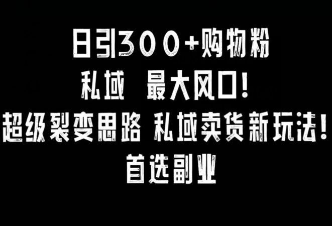 日引300+购物粉，超级裂变思路，私域卖货新玩法，小红书首选副业【揭秘】-源创资源网