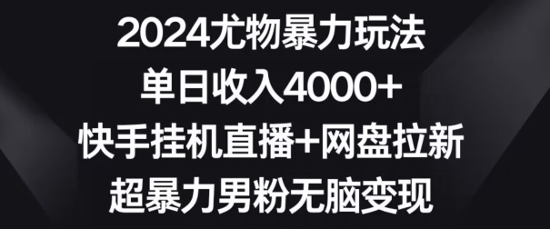 2024尤物暴力玩法，单日收入4000+，快手挂机直播+网盘拉新，超暴力男粉无脑变现【揭秘】-源创资源网
