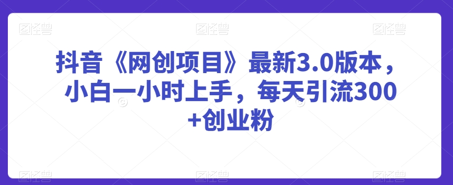 抖音《网创项目》最新3.0版本，小白一小时上手，每天引流300+创业粉【揭秘】-源创资源网