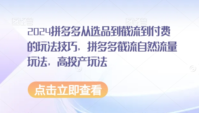 2024拼多多从选品到截流到付费的玩法技巧，拼多多截流自然流量玩法，高投产玩法-源创资源网
