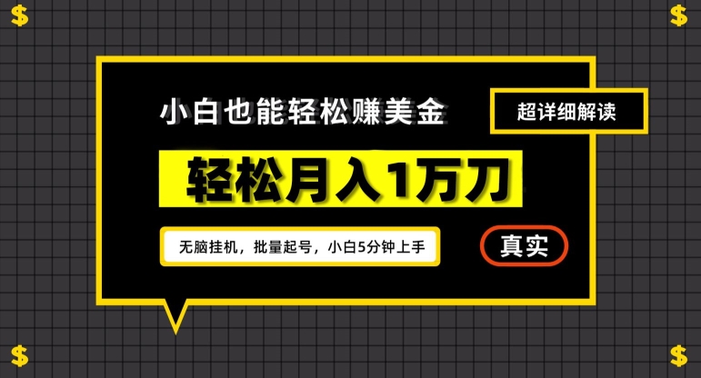 谷歌看广告撸美金2.0，无脑挂机，多号操作，月入1万刀【揭秘】-源创资源网