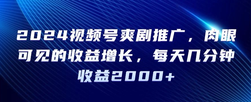 2024视频号爽剧推广，肉眼可见的收益增长，每天几分钟收益2000+【揭秘】-源创资源网