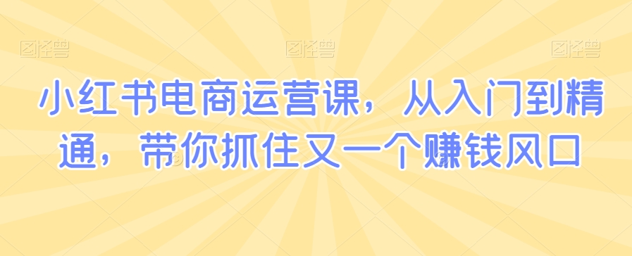 小红书电商运营课，从入门到精通，带你抓住又一个赚钱风口-源创资源网