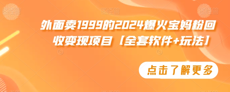 外面卖1999的2024爆火宝妈粉回收变现项目【全套软件+玩法】【揭秘】-源创资源网
