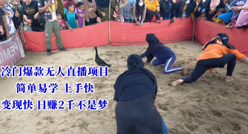 冷门爆款无人直播项目，简单易学上手快，变现快日赚2千不是梦【揭秘】-源创资源网