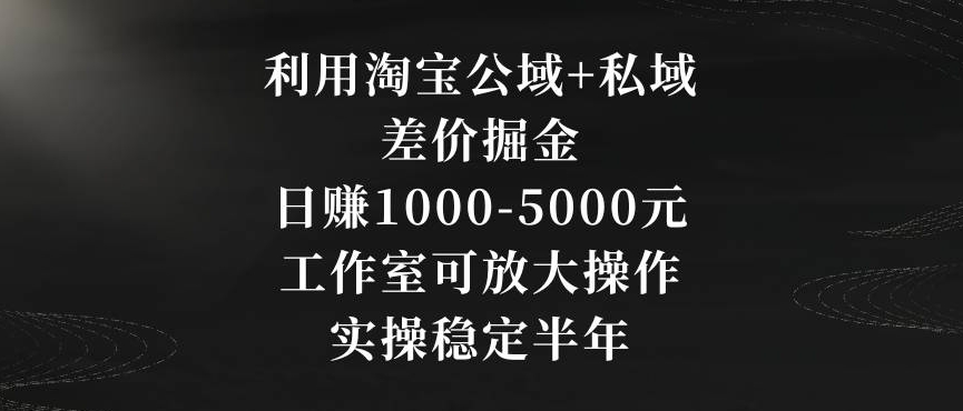 利用淘宝公域+私域差价掘金，日赚1000-5000元，工作室可放大操作，实操稳定半年【揭秘】-源创资源网