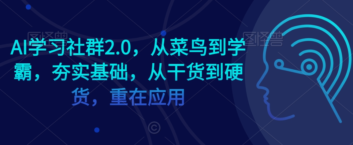 AI学习社群2.0，从菜鸟到学霸，夯实基础，从干货到硬货，重在应用-源创资源网