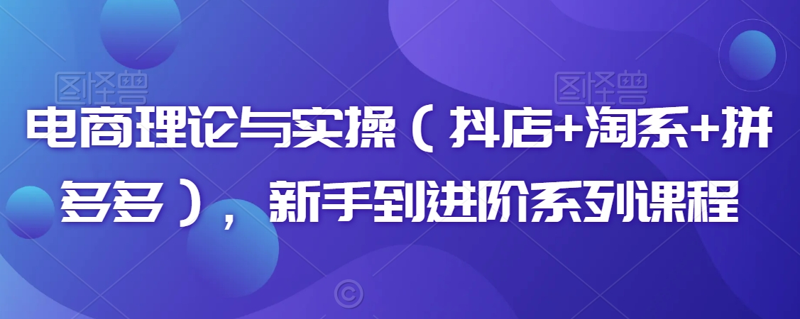 电商理论与实操（抖店+淘系+拼多多），新手到进阶系列课程-源创资源网