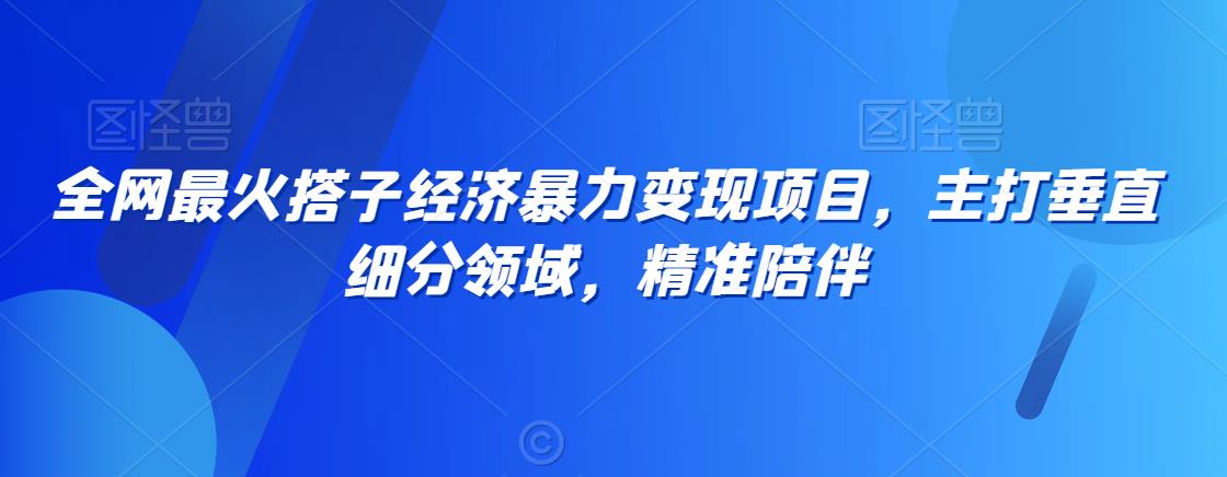 全网最火搭子经济暴力变现项目，主打垂直细分领域，精准陪伴【揭秘】-源创资源网