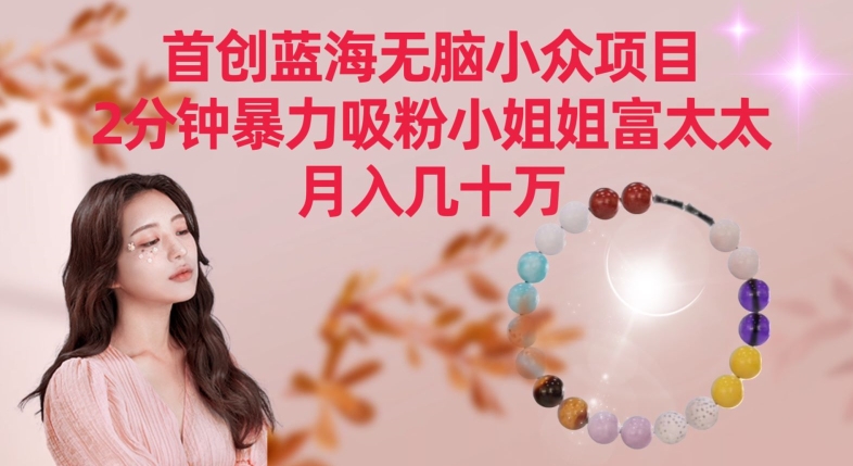 首创蓝海无脑小众项目，2分钟暴力吸粉小姐姐富太太，月入几十万【揭秘】-源创资源网