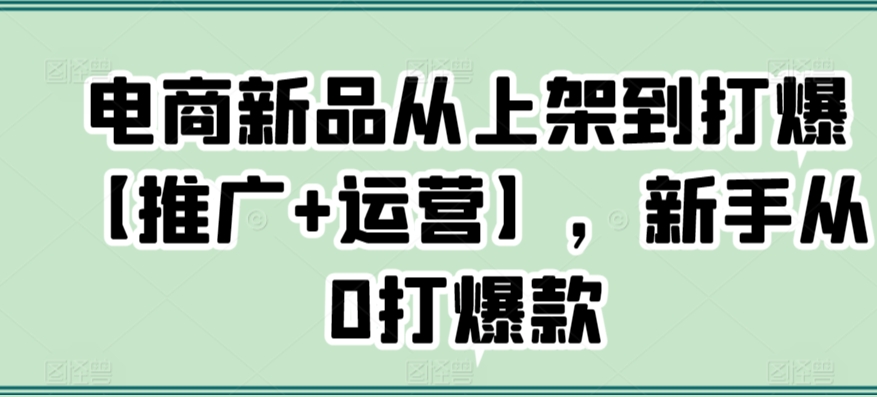 电商新品从上架到打爆【推广+运营】，新手从0打爆款-源创资源网
