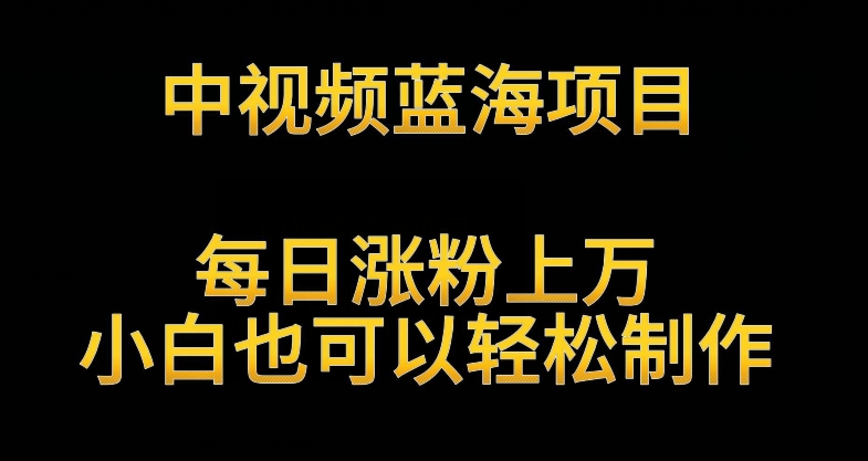 中视频蓝海项目，解读英雄人物生平，每日涨粉上万，小白也可以轻松制作，月入过万不是梦【揭秘】-源创资源网