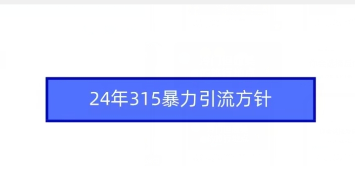 24年315暴力引流方针-源创资源网