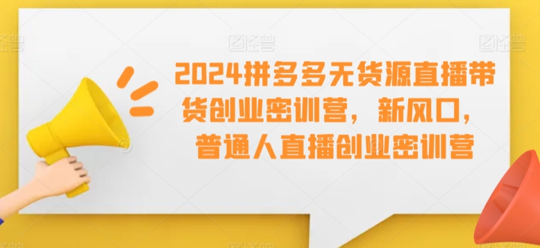 2024拼多多无货源直播带货创业密训营，新风口，普通人直播创业密训营-源创资源网