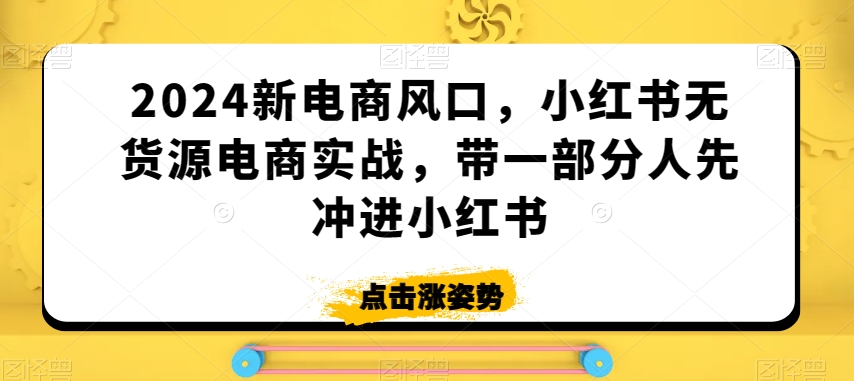 2024新电商风口，小红书无货源电商实战，带一部分人先冲进小红书-源创资源网