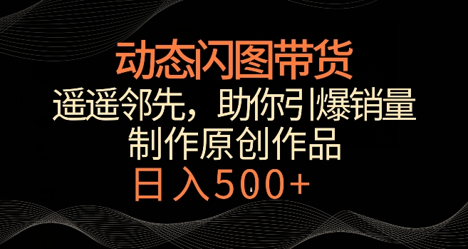 动态闪图带货，遥遥领先，冷门玩法，助你轻松引爆销量，日赚500+【揭秘】-源创资源网