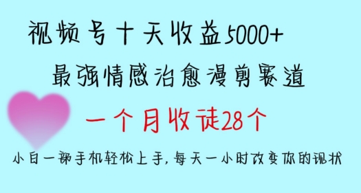 十天收益5000+，多平台捞金，视频号情感治愈漫剪，一个月收徒28个，小白一部手机轻松上手【揭秘】-源创资源网
